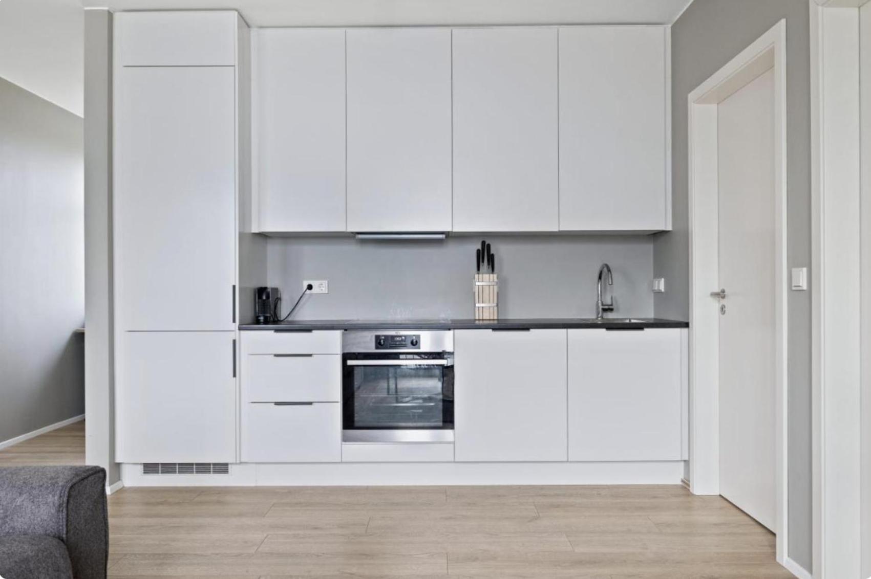 Cheerful Down Town Apartment Рейкьявик Экстерьер фото