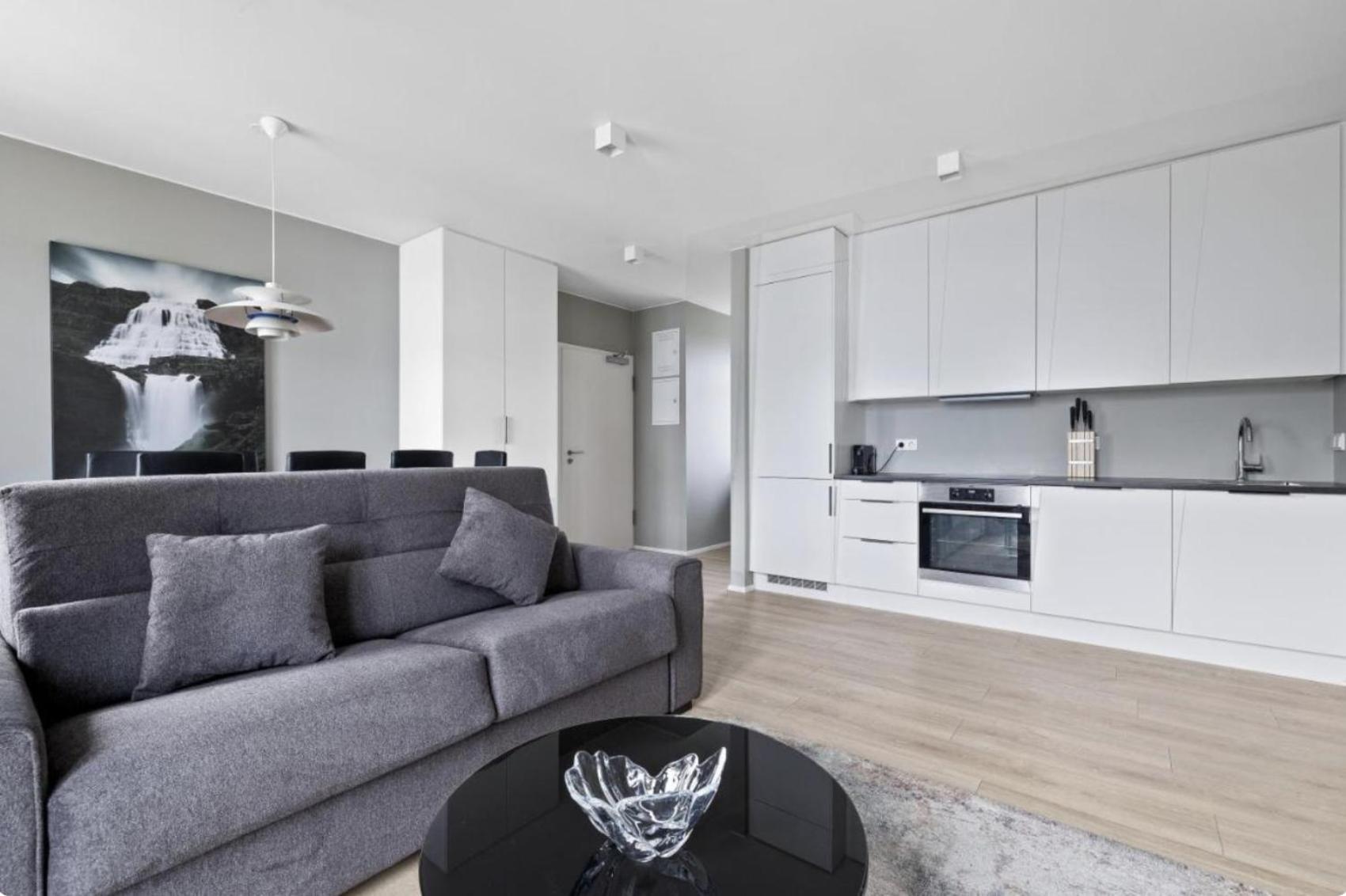 Cheerful Down Town Apartment Рейкьявик Экстерьер фото